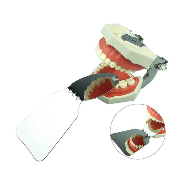 Orthodontic Intraoral Stainless Steel Double Sided Angulated Adult Occlusal Buccal Photography Mirror 7.4x10.3x10.0CM (Pack Of 1Pc)